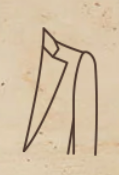 Wide